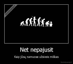 Net nepajusit - Kaip jūsų namuose užsiveis miškas
