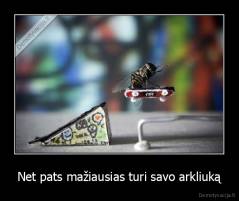Net pats mažiausias turi savo arkliuką - 