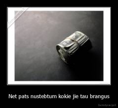 Net pats nustebtum kokie jie tau brangus - 