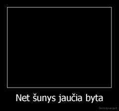 Net šunys jaučia byta - 