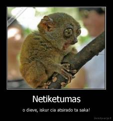 Netiketumas - o dieve, iskur cia atsirado ta saka!