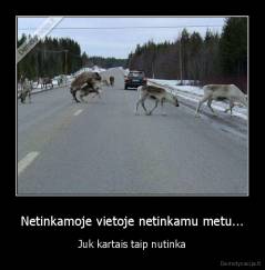 Netinkamoje vietoje netinkamu metu... - Juk kartais taip nutinka