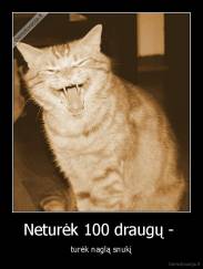 Neturėk 100 draugų -  - turėk naglą snukį