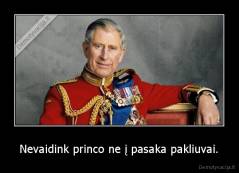Nevaidink princo ne į pasaka pakliuvai. - 