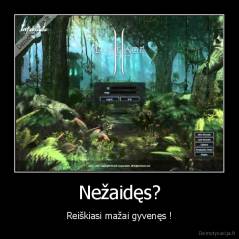 Nežaidęs? - Reiškiasi mažai gyvenęs !