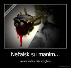 Nežaisk su manim... - ...nes ir rožės turi spyglius...