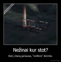 Nežinai kur stot? - Stok į klaną geriausia, "noliferio" išmintis.