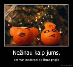 Nežinau kaip jums, - bet man madarinai tik žiemą prigija