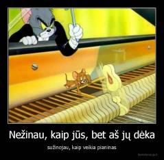 Nežinau, kaip jūs, bet aš jų dėka - sužinojau, kaip veikia pianinas