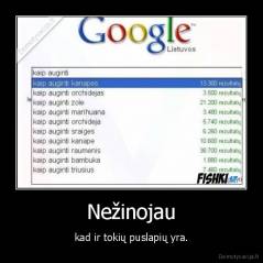 Nežinojau - kad ir tokių puslapių yra.