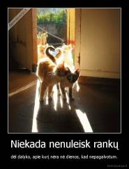 Niekada nenuleisk rankų - dėl dalyko, apie kurį nėra nė dienos, kad nepagalvotum.