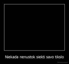 Niekada nenustok siekti savo tikslo - 
