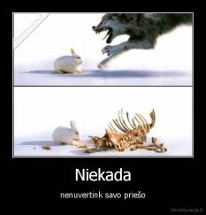 Niekada - nenuvertink savo priešo
