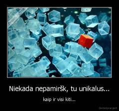 Niekada nepamiršk, tu unikalus... - kaip ir visi kiti...