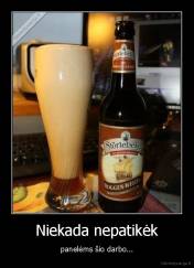 Niekada nepatikėk - panelėms šio darbo...