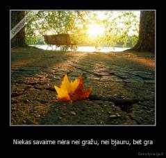 Niekas savaime nėra nei gražu, nei bjauru, bet gra - 