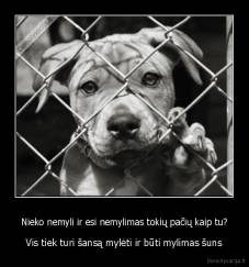 Nieko nemyli ir esi nemylimas tokių pačių kaip tu? - Vis tiek turi šansą mylėti ir būti mylimas šuns