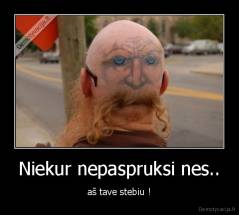 Niekur nepaspruksi nes.. - aš tave stebiu !