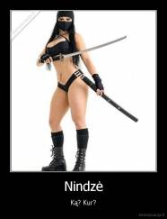 Nindzė - Ką? Kur?