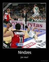 Nindzes - jos visur!