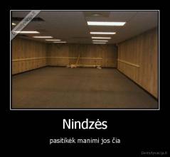 Nindzės - pasitikėk manimi jos čia