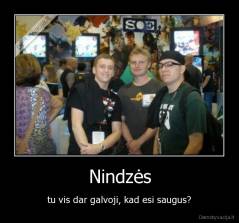 Nindzės - tu vis dar galvoji, kad esi saugus?