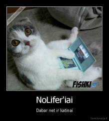 NoLifer'iai - Dabar net ir katinai