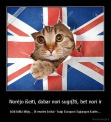 Norėjo išeiti, dabar nori sugrįžti, bet nori ir - būti biški išėję... Iš esmės britai - kaip Europos Sąjungos katės...