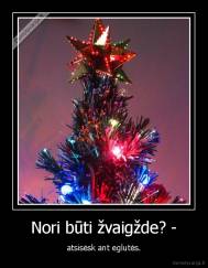 Nori būti žvaigžde? - - atsisėsk ant eglutės.