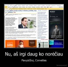 Nu, aš irgi daug ko norėčiau - Pavyzdžiui, Corvettes
