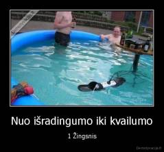 Nuo išradingumo iki kvailumo - 1 Žingsnis