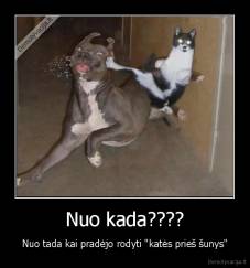 Nuo kada???? - Nuo tada kai pradėjo rodyti "katės prieš šunys"