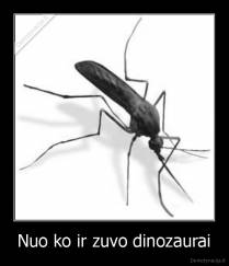 Nuo ko ir zuvo dinozaurai - 