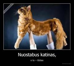 Nuostabus katinas, - o tu – šūdas