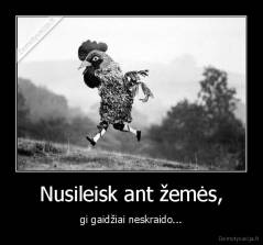 Nusileisk ant žemės, - gi gaidžiai neskraido...