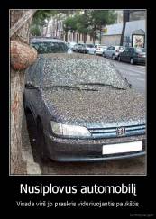 Nusiplovus automobilį - Visada virš jo praskris viduriuojantis paukštis