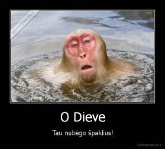 O Dieve - Tau nubėgo špaklius!
