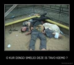 O KUR DINGO SMELIO DEZE IS TAVO KIEMO ? - 