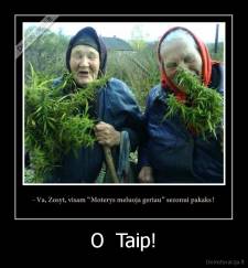O  Taip! - 