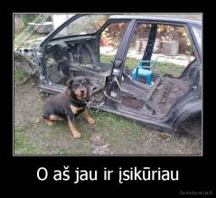 O aš jau ir įsikūriau - 