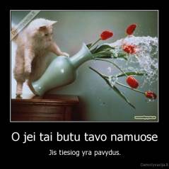 O jei tai butu tavo namuose - Jis tiesiog yra pavydus.