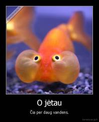 O jėtau - Čia per daug vandens.