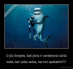 O jūs žinojote, kad jūros ir vandenynai sūrūs - todėl, kad rykliai verkia, nes nori apsikabint???