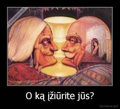 O ką įžiūrite jūs? - 