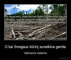 O kai žmogaus kūrinį sunaikina gamta - Vadiname nelaime
