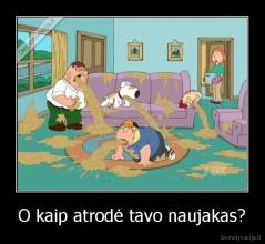 O kaip atrodė tavo naujakas? - 