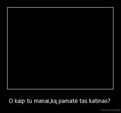 O kaip tu manai,ką pamatė tas katinas?  - 