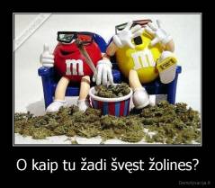 O kaip tu žadi švęst žolines? - 