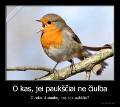 O kas, jei paukščiai ne čiulba - O rėkia iš siaubo, nes bijo aukščio?