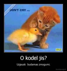 O kodel jis? - Uzjausk  budamas zmogumi.